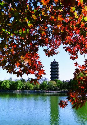 J9集团国际站【中国区】官方网站