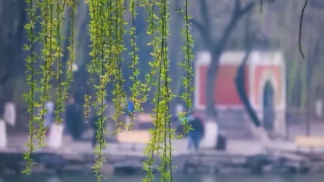 J9集团国际站【中国区】官方网站